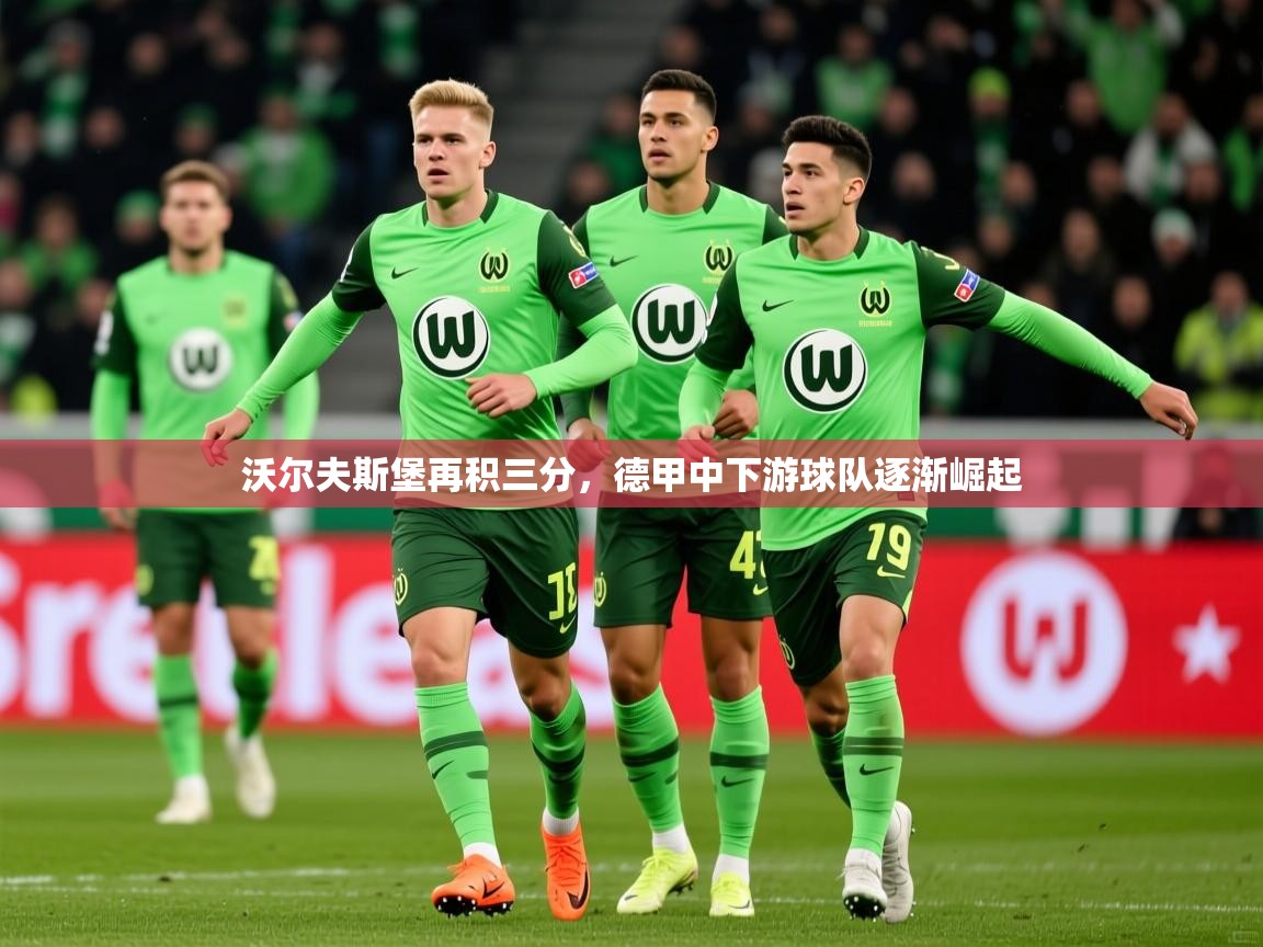 2025澳客体育官网沃尔夫斯堡再积三分，德甲中下游球队逐渐崛起
